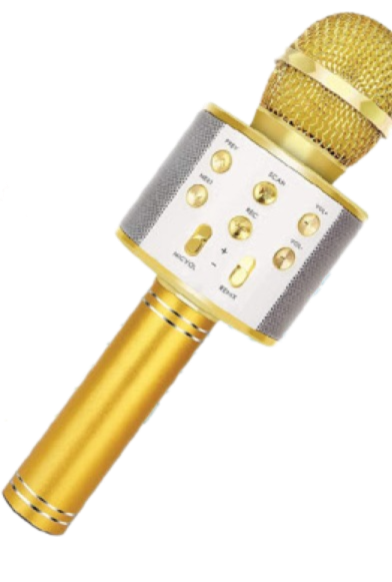 Karaoke Mic