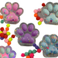 Paw Print Pinch Family