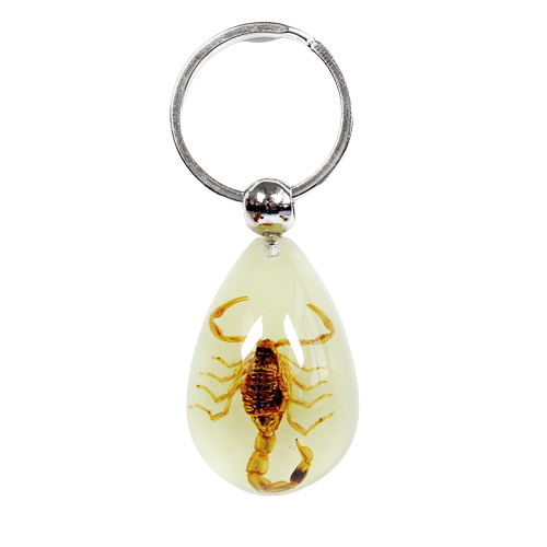 Keychain, REAL insects Glow in the Dark