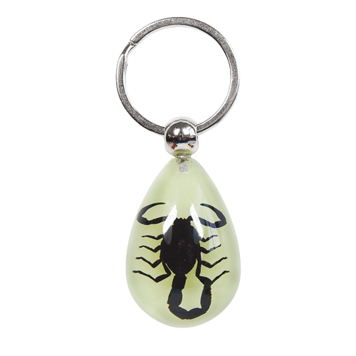 Keychain, REAL insects Glow in the Dark